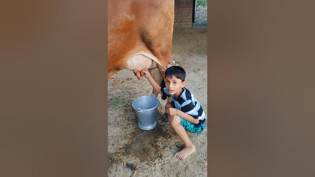 choti choti gaiya tytyt hgyft #love #song #funny