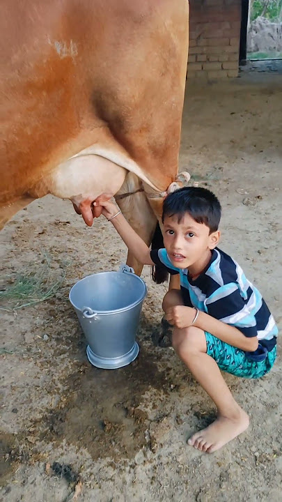 choti choti gaiya tytyt hgyft #love #song #funny