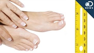 Why Do Fingernails Grow Faster Than Toenails? Why Do Fingernails Grow Faster Than Toenails?