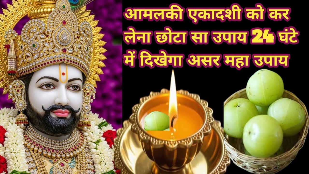 आमलकी एकादशी को कर लेना छोटा सा उपाय 24 घंटे में दिखेगा असर महा उपाय#youtubevideo#vairalvideo