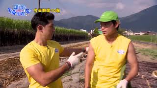 【請問今晚住誰家】EP272 深入蔗園尋找極品甘蔗心 效法神農直接生吃頂級食材?!竇智孔、黃鐙輝、舞陽、賈斯汀 週一至週四晚間10點 東森超視33頻道