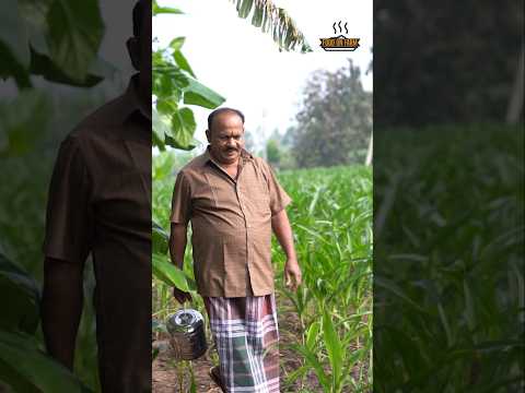 అందరికీ సంక్రాంతి పండుగ శుభాకాంక్షలు 😊