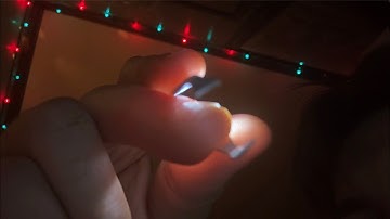 [LOFI ASMR] Up Close Plucking | Lens Tapping, Light Triggers | Visual ASMR Triggers