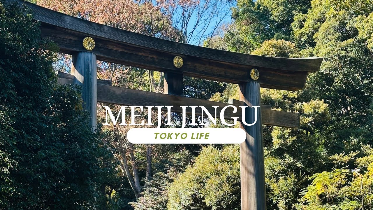 Exploring Meiji Jingu Shrine: Nature, Culture, and Japanese Traditions in Tokyo