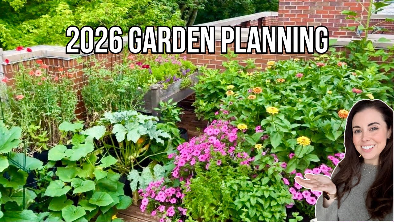Планирование сада на 2026 год! Что я буду делать по-другому в этом году 🪴🌼