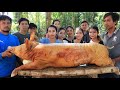 Wow amazing cooking pork soup and roasted in my village - Amazing video