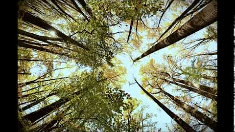The pace of spiritual growth