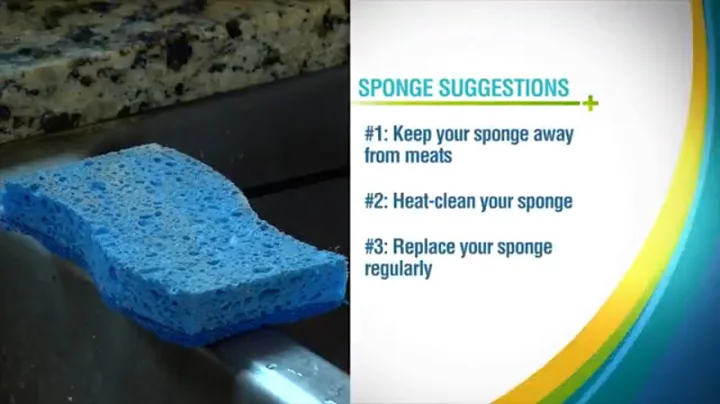 How Dirty is Your Kitchen Sponge? | Health + Happiness
