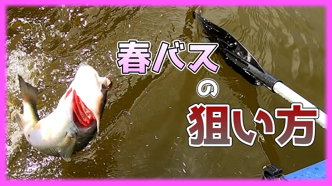 【春バス】春は場所とタイミングが9割9分、残り1分がその他もろもろ【狙い方】