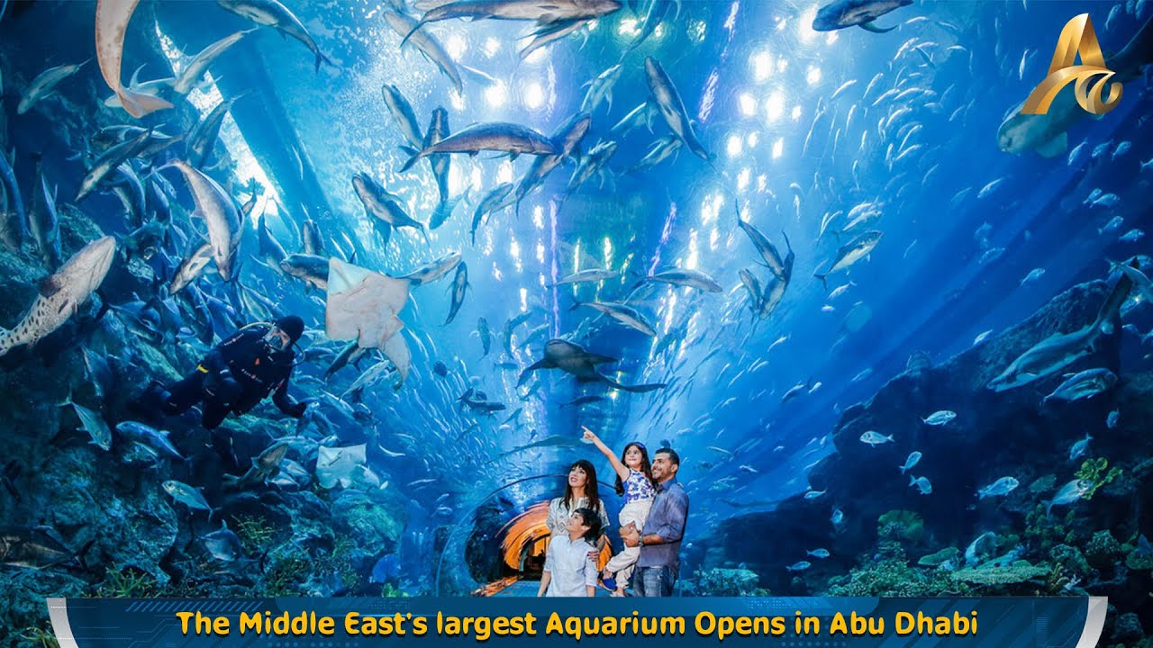The Middle East's largest Aquarium Opens in Abu Dhabi YouTube