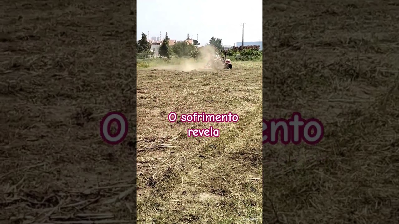 Deus usa a Dor para nos ensinar #fé #jesuscura #motivacional #reflexão #shorts