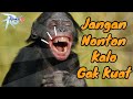 RAGNAROK M CLASSIC |SEBELUM LEBARAN YOK KELARIN WEEKLY SAMPPE TUYUL NYAHAHAH