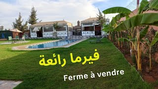 FERME A  VENDRE  فيرما رائعة للبيع