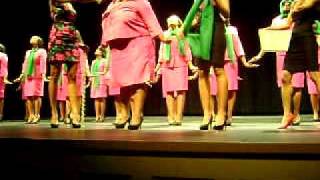 Lambda Eta Chapter of AKA @ MISSISSIPPI STATE  pt.5 Wealth