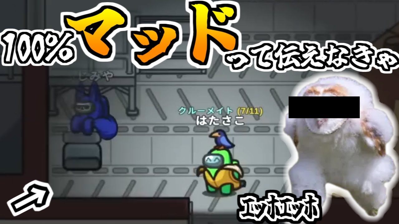 インポスターじゃなくて100%マッド！！【AmongUs】