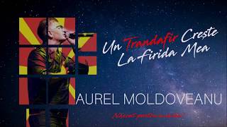 Aurel Moldoveanu - Un Trandafir Creste La Firida Mea | Cover Resimi