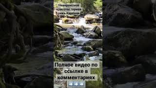 Горная река и дикий водопад Karpacz, полное видео➡️ https://youtu.be/MwRwHKnKquc