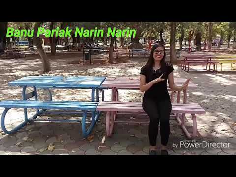 Banu Parlak Narin Narin İşaret Dili