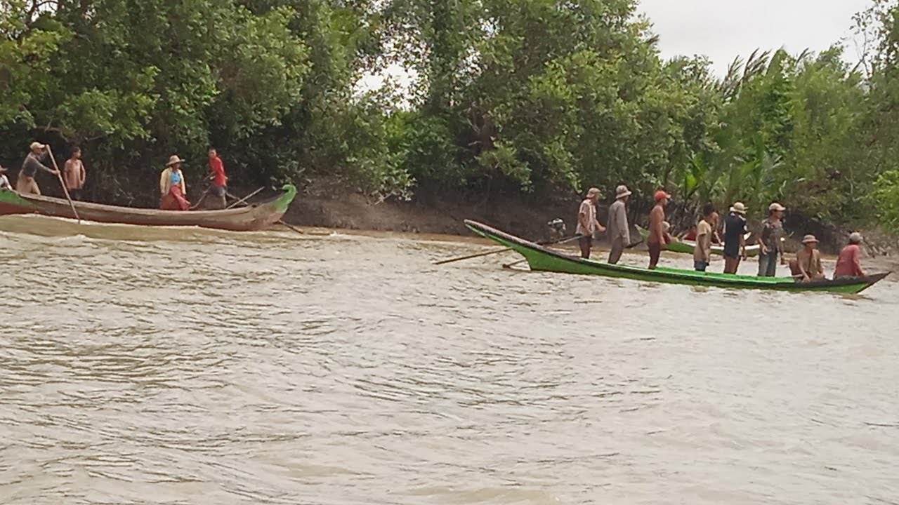 ဒေသခံတွေကြုံနေရတဲ့ မိန်းမလှကျွန်းက မိကျောင်းအန္တရာယ်