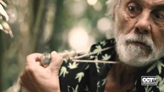 Chong vs Wild