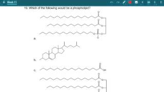 CHEM 104 - Week 11 19