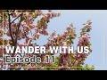 Seoullo7017-Seoul Station Rooftop Garden [WANDERERS] EP.11