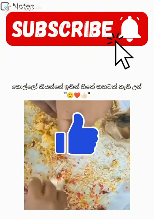 ado adooooo - YouTube