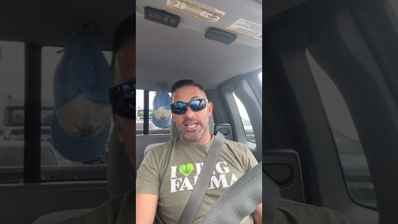 Intro to Potluck Productions