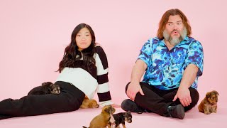 Jack Black and Awkwafina: The Puppy Interview by BuzzFeed Celeb 761,809 views 1 month ago 13 minutes, 57 seconds