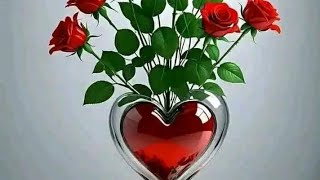 CHAMBUSSO_official audio_(DIAMONDI PLATNUMZ ft KUSAH) BY MAPENZI