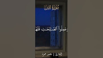 والتين والزيتون #قران_كريم #اكسبلور #تلاوات #تلاوة_خاشعة #تلاوه #nature #quran #حالات_واتس #لايك