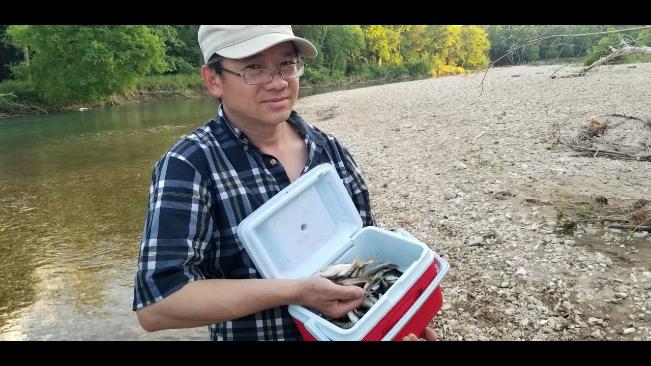 Catch and Cook Minnows Ntaus Me Nyuam Ntses Quav Iab Ncu Noj - YouTube