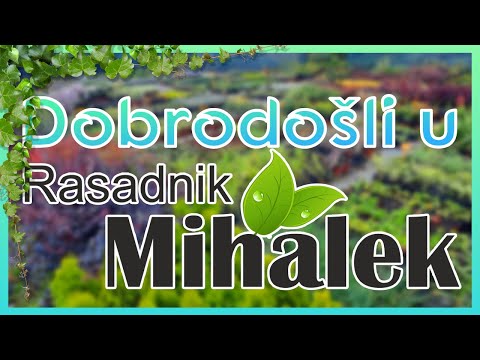 Dobrodošli u rasadnik Mihalek!