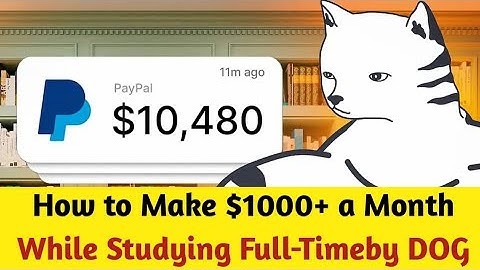 Cats and Dogs New Video Code | 11 Nov How to Make $1000+ a Month While Studying Full-Time by DOG