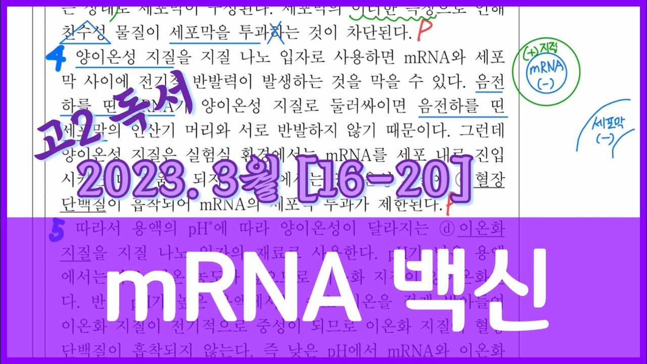 2023년 3월 고2 국어 mRNA백신 [16-20]