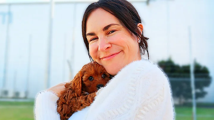 MEETING OUR NEW PUPPY