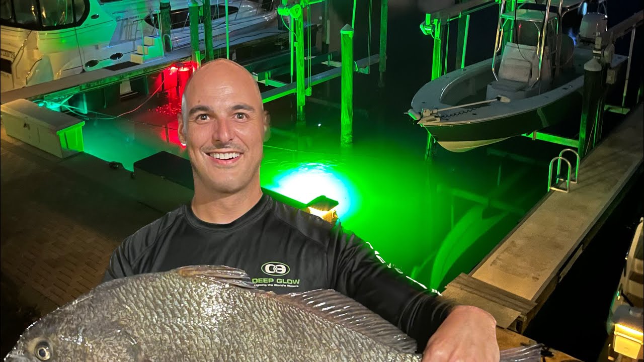 Tarpon On - Deep Glow Under Water Lights