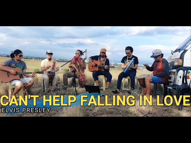 Can't Help Falling In Love - Elvis Presley | Kuerdas Acoustic Reggae Version class=
