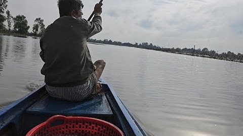 Giăng lưới cá lòng tong mùa nước nổi