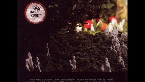 Various – Tropiczone Swap (2006)