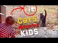 Inspirational  cats protecting babies and owners away from danger