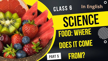 Food - Where does it come from? | Science Class 6 | Part 5  Balanced diet | In English .