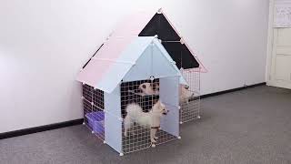 DIY: Building an Adorable Villa for Your Pomeranian by MR PET FAMILY 2,855 views 3 months ago 16 minutes
