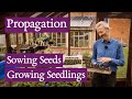 Charles dowding cultivant des plantes  partir de graines