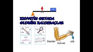 Download Kuvvetİn Ortada OlduĞu KaldiraÇ Tİpİ..8. Sinif Fen Bİlm.. Video MP3 Kuvvetİn Ortada OlduĞu KaldiraÇ Tİpİ..8. Sinif Fen Bİlm..