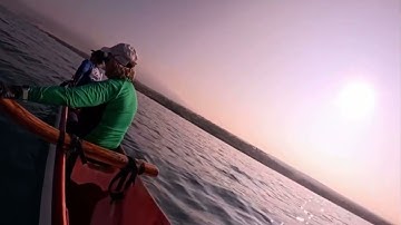 I recorded the song of the whales unintentionally #whales #whalesounds #whalesongs