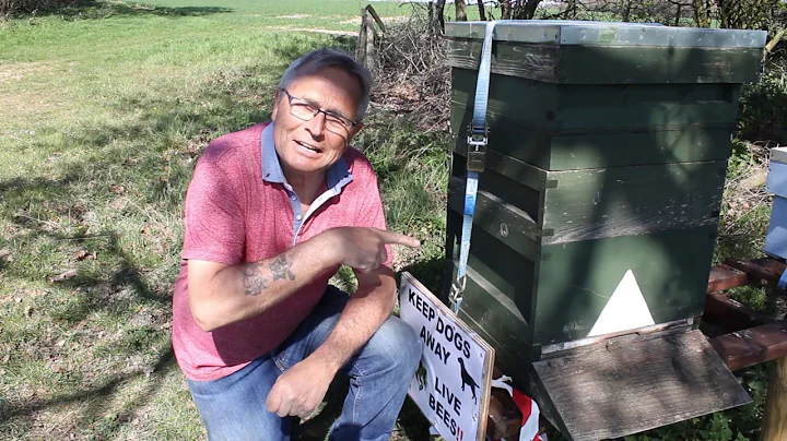 Beekeeping UK " What is wrong with this hive?" epi...