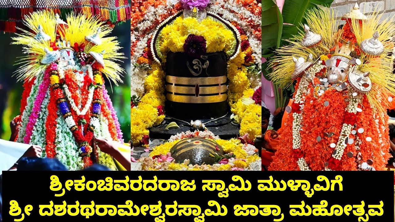 ಶ್ರೀಕಂಚಿವರದರಾಜ ಸ್ವಾಮಿ ಮುಳ್ಳಾವಿಗೆ ಶ್ರೀ ದಶರಥರಾಮೇಶ್ವರಸ್ವಾಮಿ ಜಾತ್ರಾ ಮಹೋತ್ಸವ ಶ್ರೀ ಕ್ಷೇತ್ರ ದೊಡ್ಡವಜ್ರ 🕉️🚩