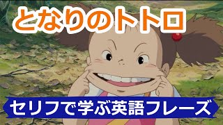 となりのトトロ アニメのセリフで英語を学んでみよう。この英語聞き取れるかな？【Mr.Rusty 英語勉強方法 892】　となりのトトロ英語版 英語吹き替え  My Neighbor Totoro