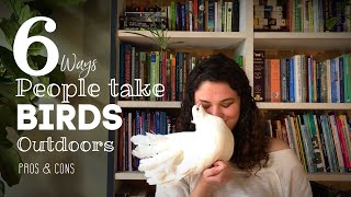 6 Ways People Take Birds Outdoors: Pros & Cons